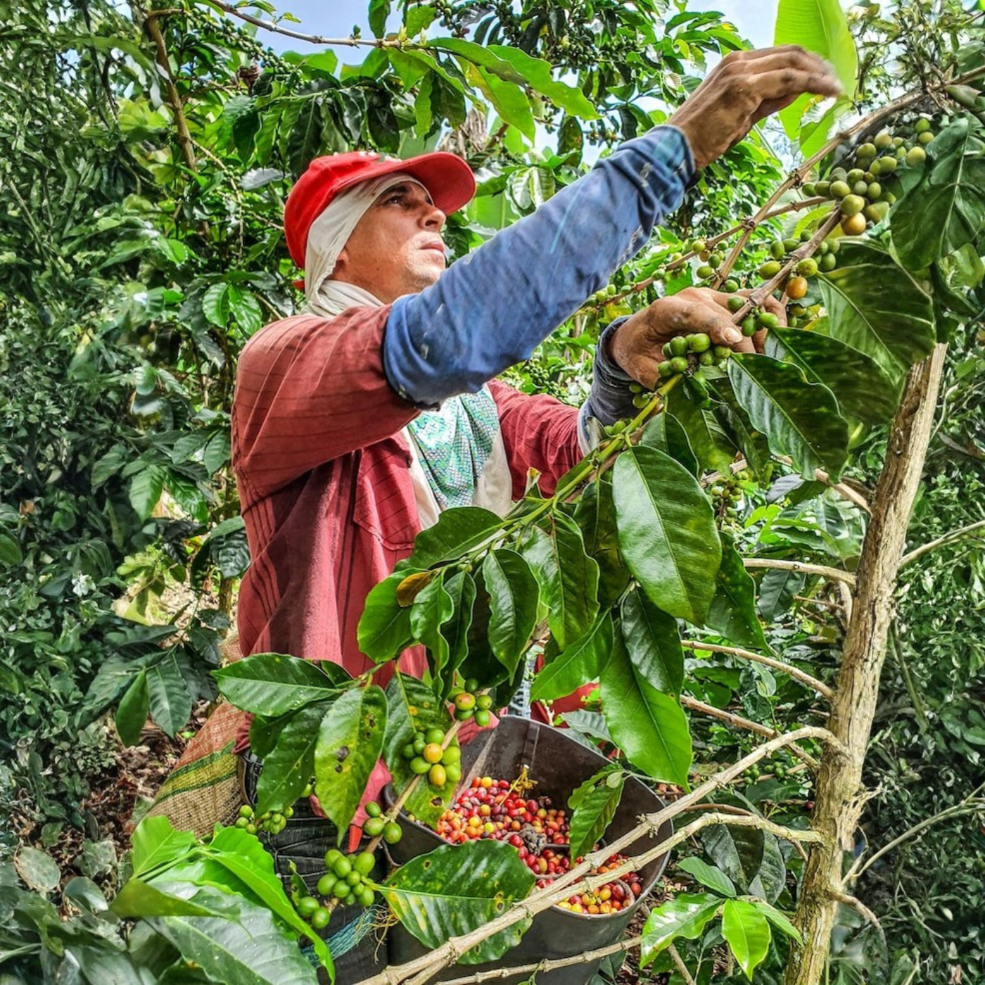 Our Vision & Purpose